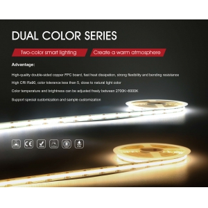 <strong>DUAL COLOR SERIES</strong>