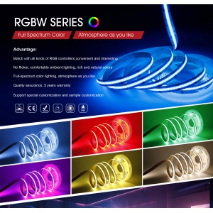 <strong>RGBW SERIES</strong>