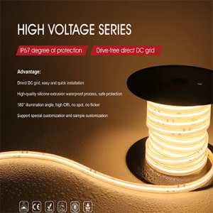HIGH VOLTAGE SERIES