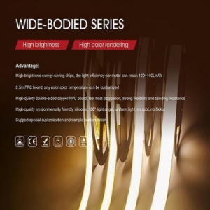 WIDE-BODIED SERIES